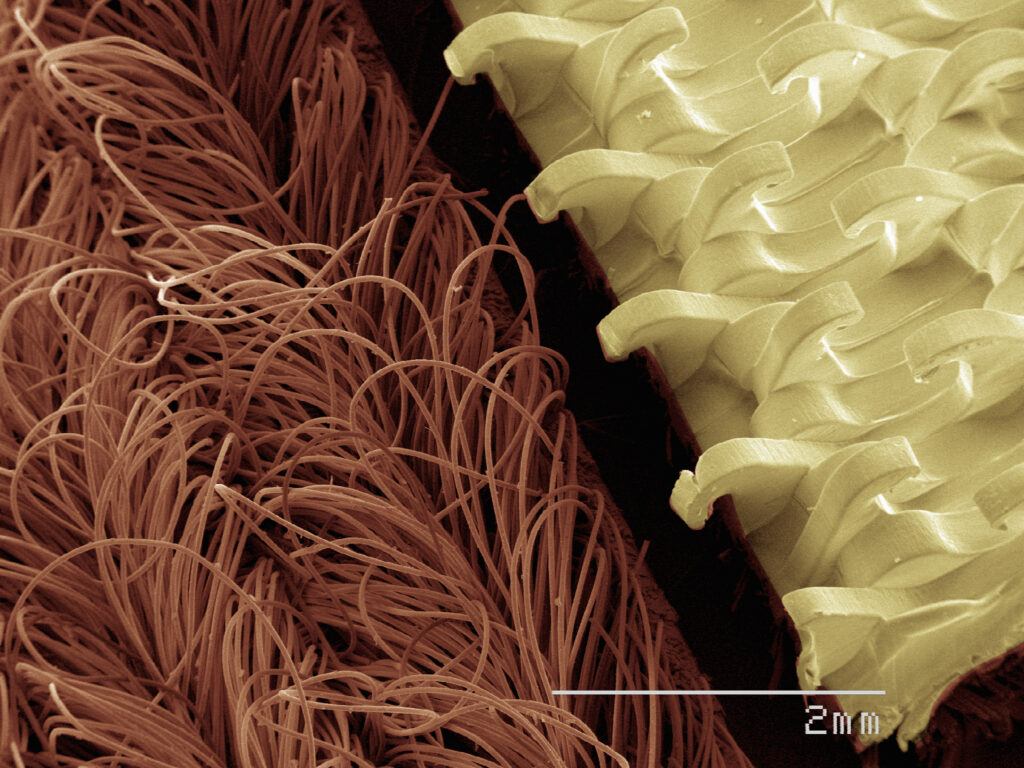 membrane con un elevato tasso di intasamento e difficoltà nel passaggio di flusso.